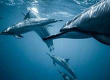 九游app下载入口-app下载：开启高效生活的新钥匙